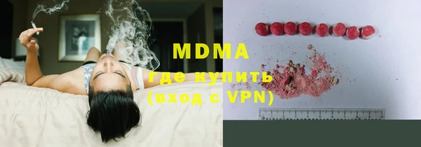 прущие грибы Инта
