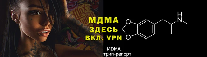 прущие грибы Инта