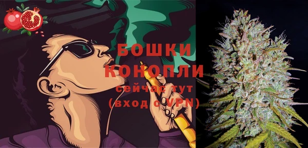 прущие грибы Инта